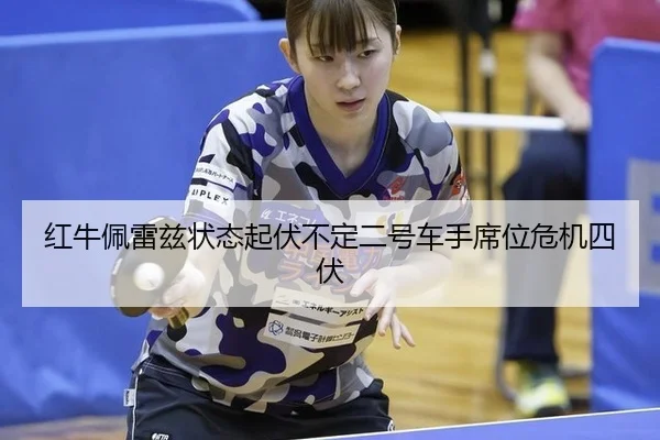 hong-niu-pei-lei-zi-zhuang-tai-qi-fu-bu-ding-er-hao-che-shou-xi-wei-wei-ji-si-fu-2-525.jpg